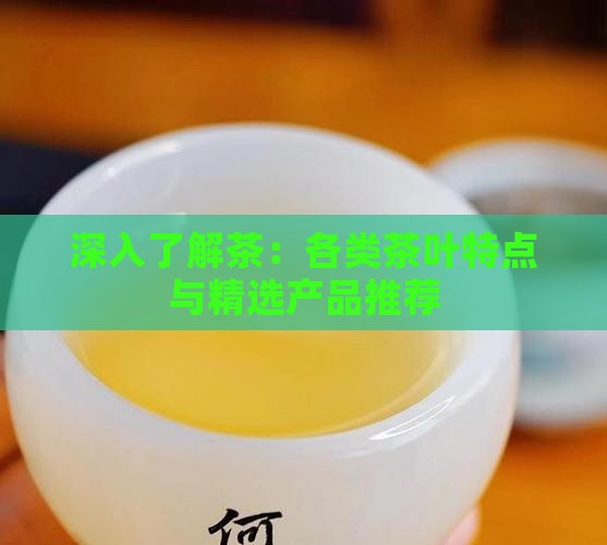 深入了解茶：各类茶叶特点与精选产品推荐