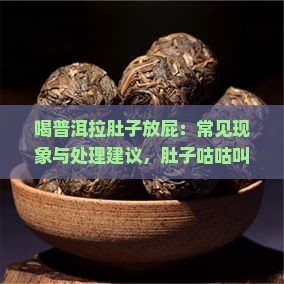 喝普洱拉肚子放屁：常见现象与处理建议，肚子咕咕叫拉稀水且异味明显