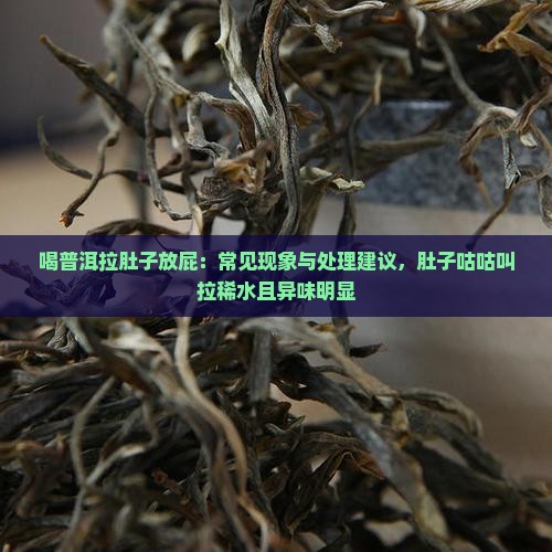 喝普洱拉肚子放屁：常见现象与处理建议，肚子咕咕叫拉稀水且异味明显