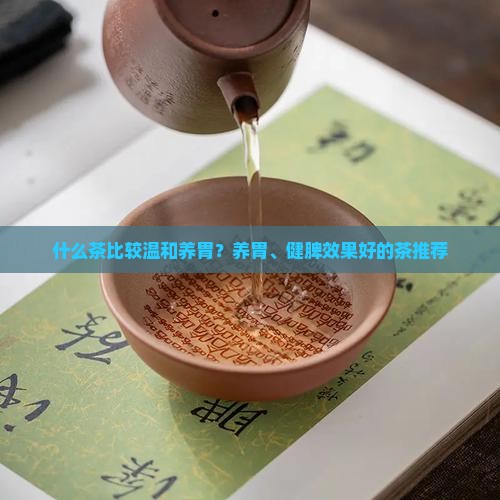 什么茶比较温和养胃？养胃、健脾效果好的茶推荐