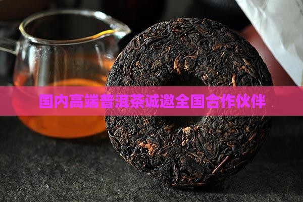 国内高端普洱茶诚邀全国合作伙伴