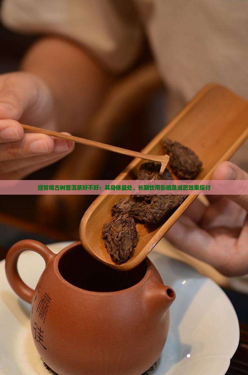 经常喝古树普洱茶好不好：其身体益处、长期饮用影响及减肥效果探讨