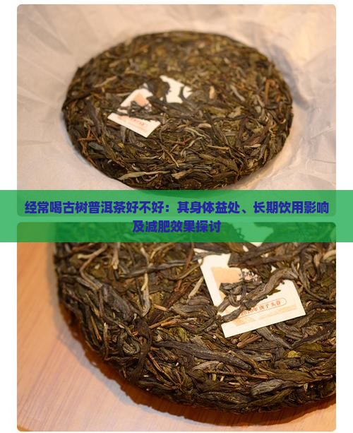 经常喝古树普洱茶好不好：其身体益处、长期饮用影响及减肥效果探讨