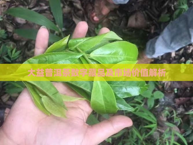 大益普洱茶数字藏品及市场价值解析