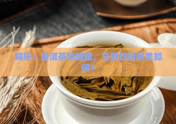 解析：普洱茶助减肥，立夏饮用效果如何？