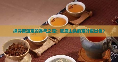 探寻普洱茶的香气之源：哪座山头的茶叶更出色？