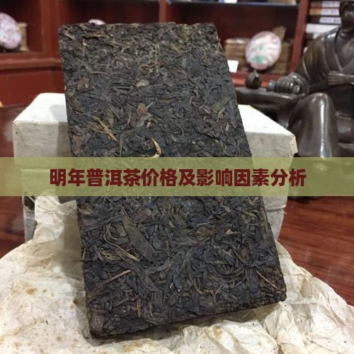 明年普洱茶价格及影响因素分析
