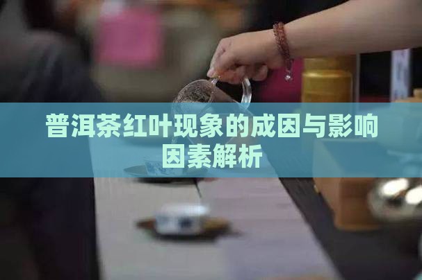 普洱茶红叶现象的成因与影响因素解析