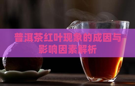 普洱茶红叶现象的成因与影响因素解析