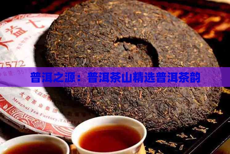 普洱之源:普洱茶山精选普洱茶韵 普洱之源:普洱茶山精选普洱茶韵
