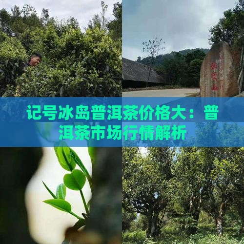 记号冰岛普洱茶价格大:普洱茶市场行情解析 记号冰岛普洱茶价格大:普洱茶市场行情解析