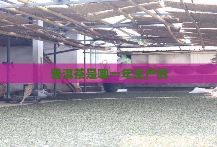 普洱茶是哪一年生产的