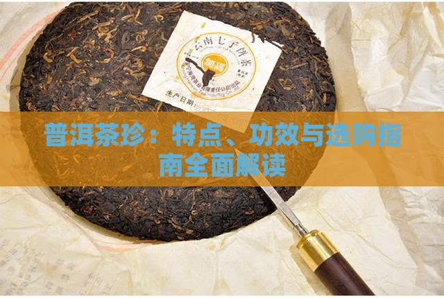 普洱茶珍:特点、功效与选购指南全面解读 普洱茶珍:特点、功效与选购指南全面解读