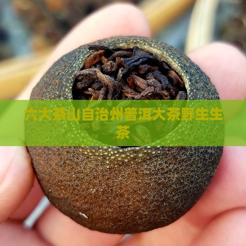 六大茶山自治州普洱大茶野生生茶 六大茶山自治州普洱大茶野生生茶
