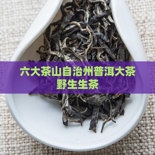 六大茶山自治州普洱大茶野生生茶 六大茶山自治州普洱大茶野生生茶