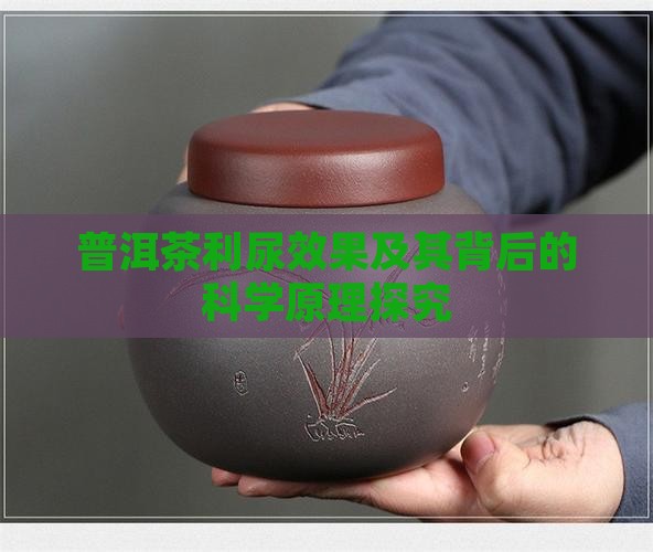 普洱茶利尿效果及其背后的科学原理探究