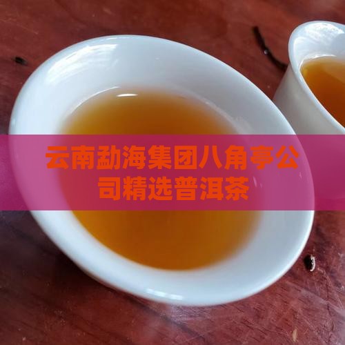 云南勐海集团八角亭公司精选普洱茶
