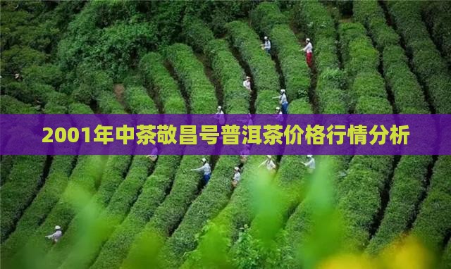 2001年中茶敬昌号普洱茶价格行情分析