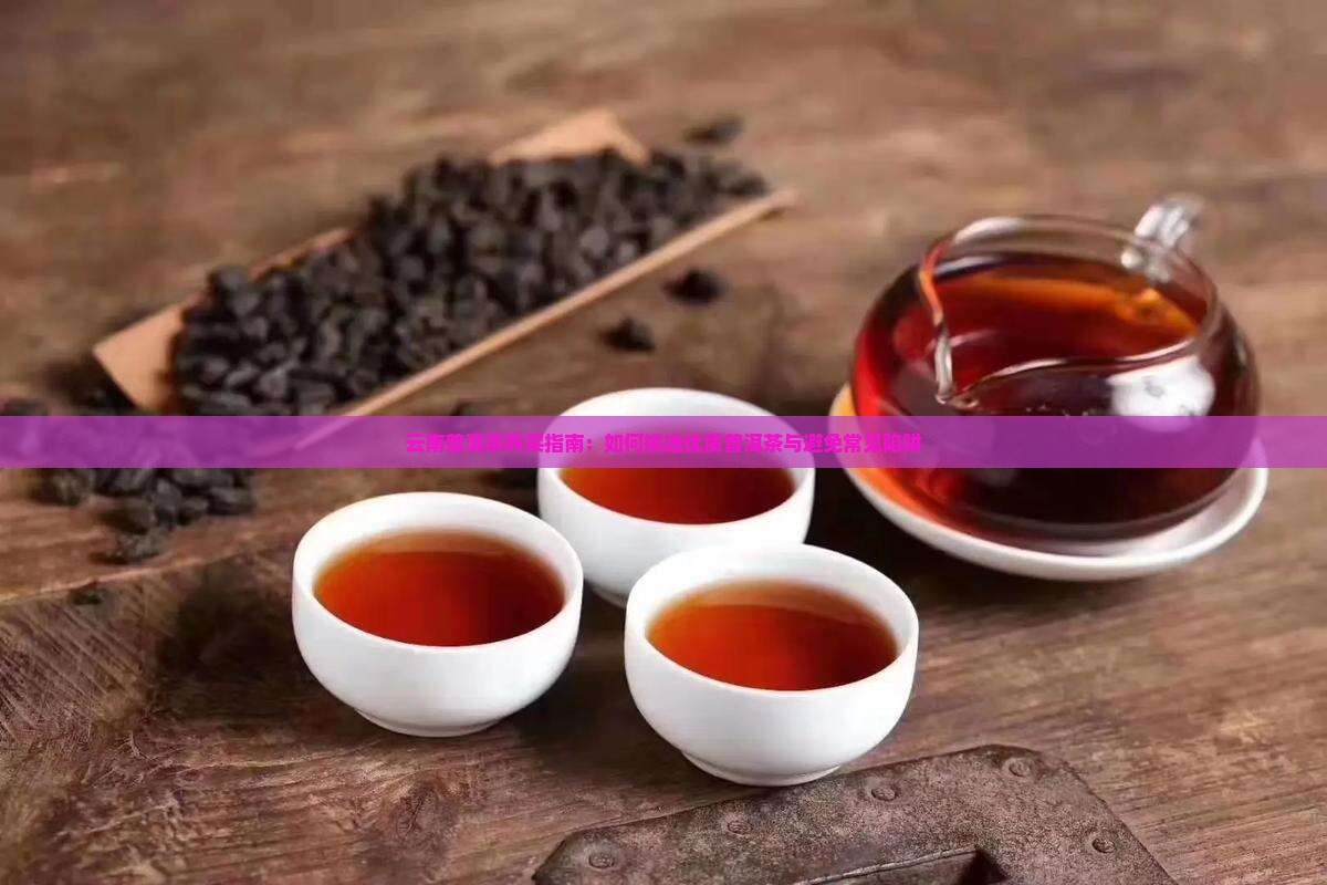 云南普洱茶购买指南：如何挑选优质普洱茶与避免常见陷阱