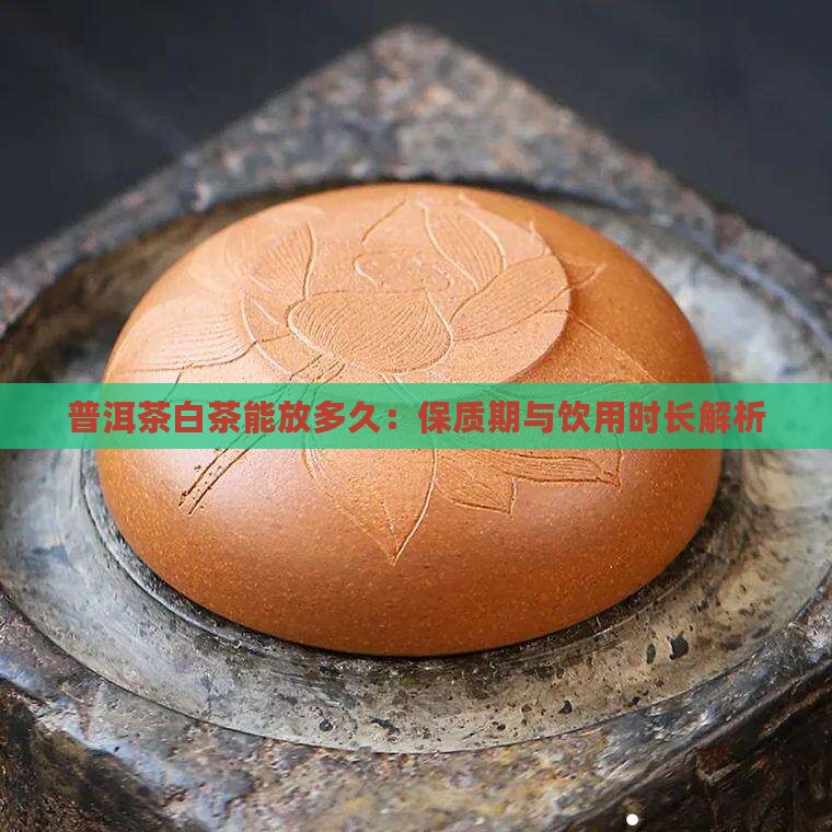 普洱茶白茶能放多久：保质期与饮用时长解析