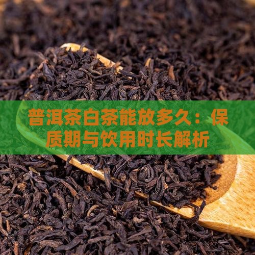 普洱茶白茶能放多久：保质期与饮用时长解析