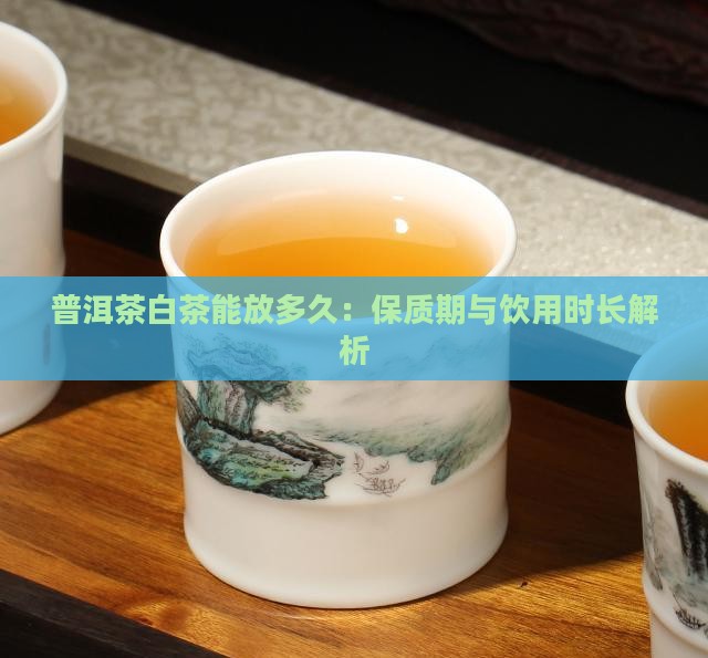 普洱茶白茶能放多久：保质期与饮用时长解析