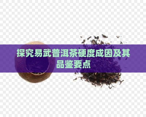 探究易武普洱茶硬度成因及其品鉴要点