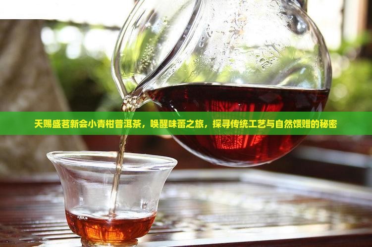 天赐盛茗新会小青柑普洱茶，唤醒味蕾之旅，探寻传统工艺与自然馈赠的秘密