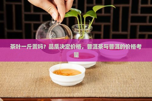 茶叶一斤贵吗？品质决定价格，普洱茶与普洱的价格考量