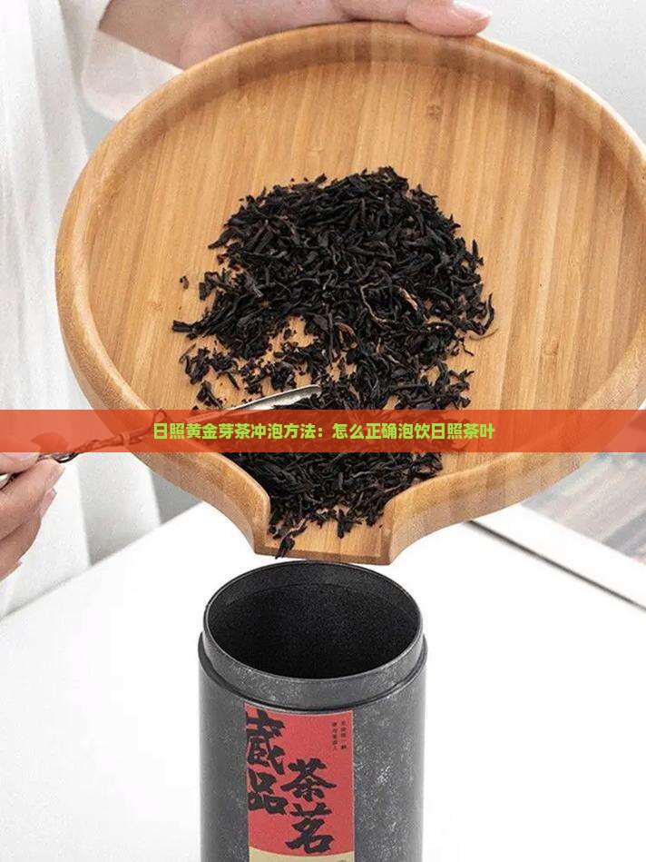 日照黄金芽茶冲泡方法：怎么正确泡饮日照茶叶