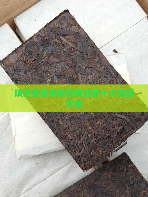 陕西熟普洱茶招商加盟十大加盟方案