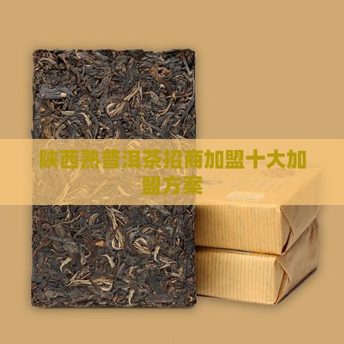 陕西熟普洱茶招商加盟十大加盟方案