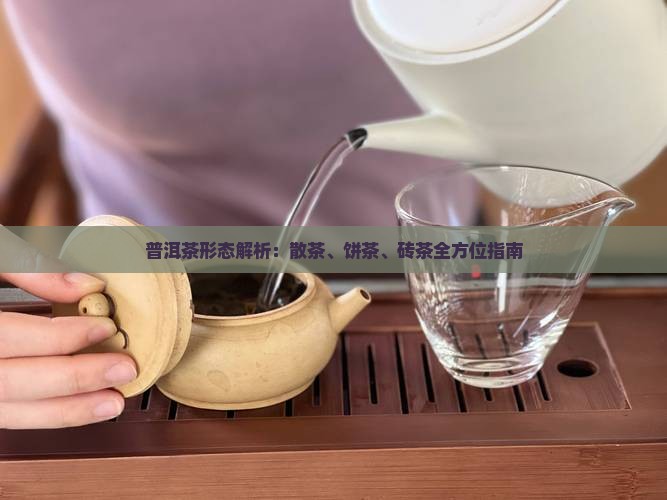 普洱茶形态解析：散茶、饼茶、砖茶全方位指南