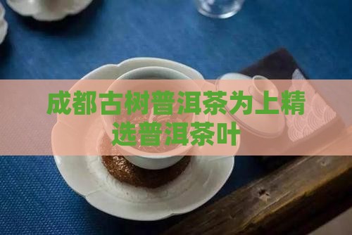 成都古树普洱茶为上精选普洱茶叶
