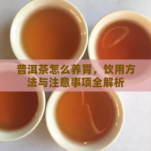 普洱茶怎么养胃，饮用方法与注意事项全解析