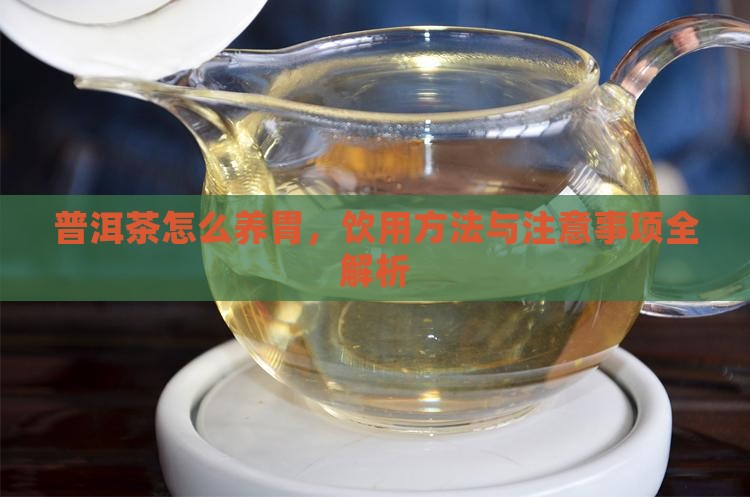 普洱茶怎么养胃，饮用方法与注意事项全解析