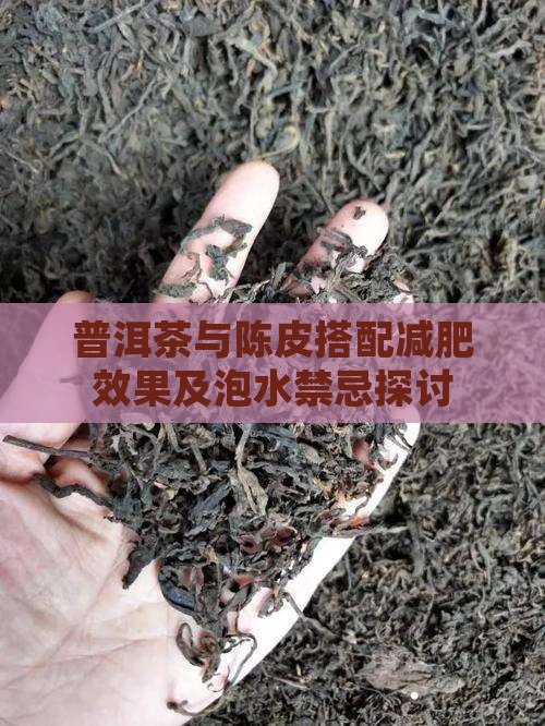 普洱茶与陈皮搭配减肥效果及泡水禁忌探讨