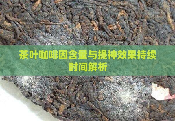 茶叶咖啡因含量与提神效果持续时间解析
