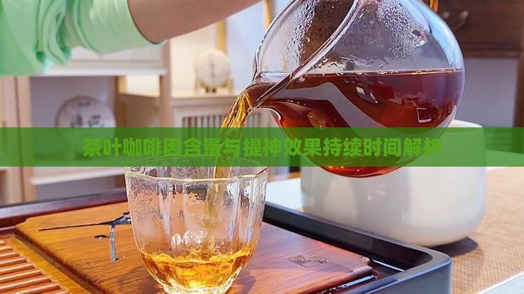 茶叶咖啡因含量与提神效果持续时间解析