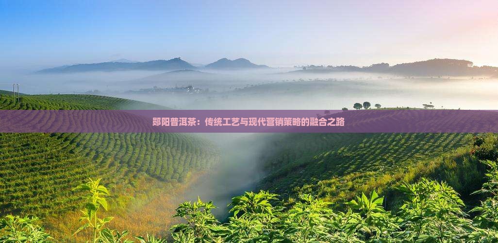 郧阳普洱茶：传统工艺与现代营销策略的融合之路