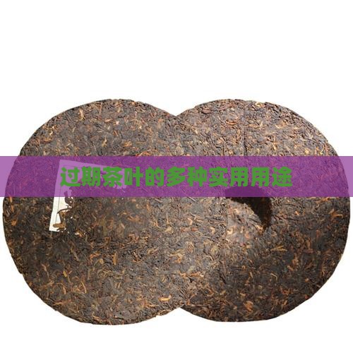 过期茶叶的多种实用用途
