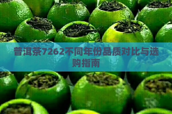 普洱茶7262不同年份品质对比与选购指南