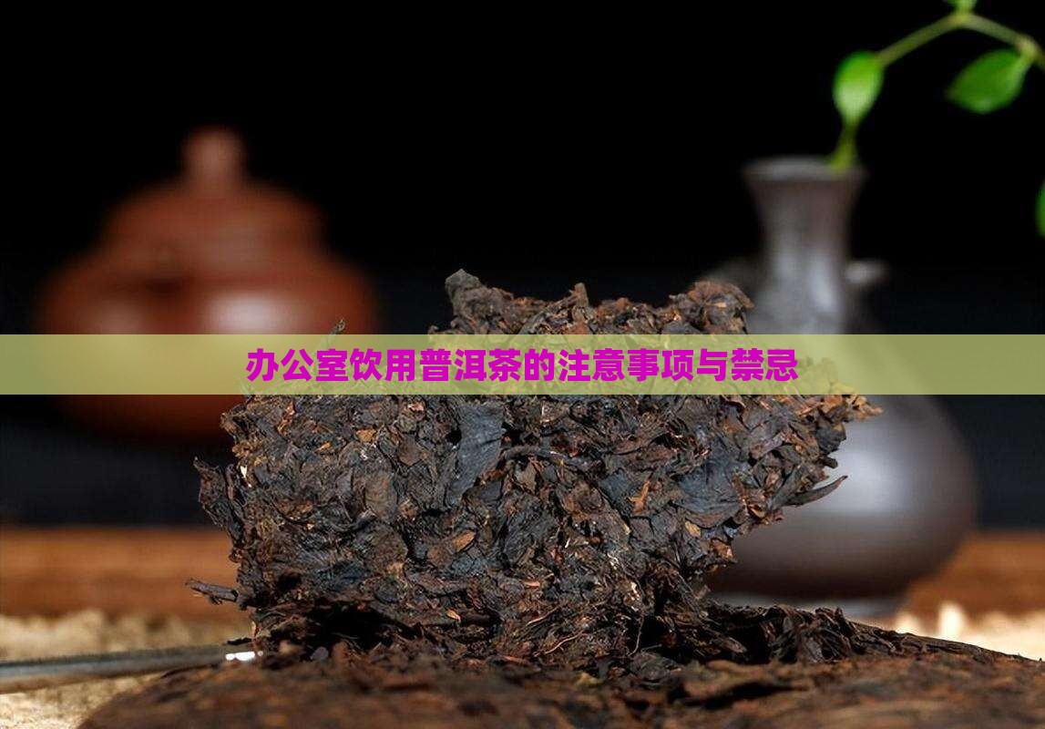 办公室饮用普洱茶的注意事项与禁忌