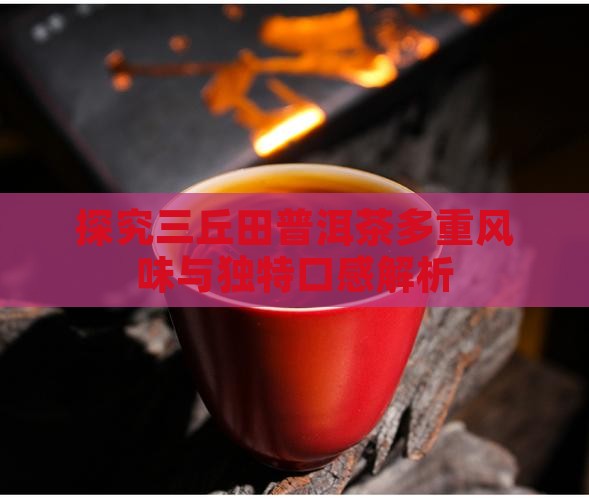 探究三丘田普洱茶多重风味与独特口感解析