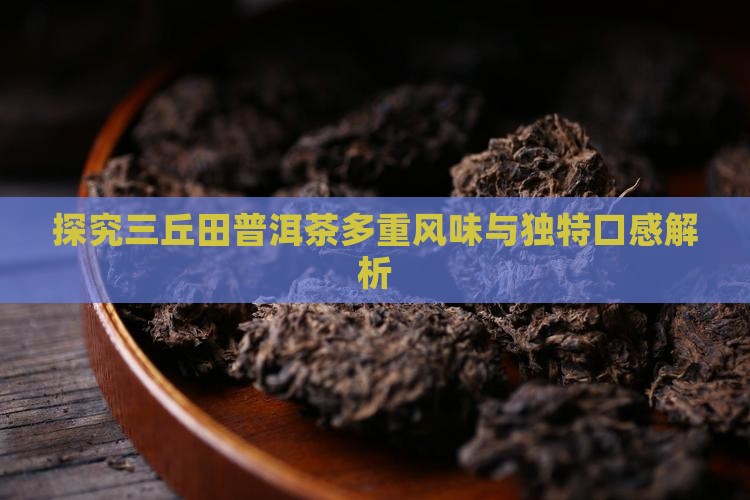 探究三丘田普洱茶多重风味与独特口感解析