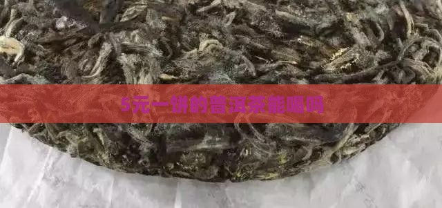 5元一饼的普洱茶能喝吗