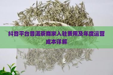 抖音平台普洱茶商家入驻费用及年度运营成本详解