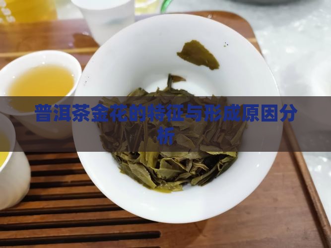 普洱茶金花的特征与形成原因分析