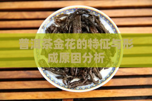 普洱茶金花的特征与形成原因分析