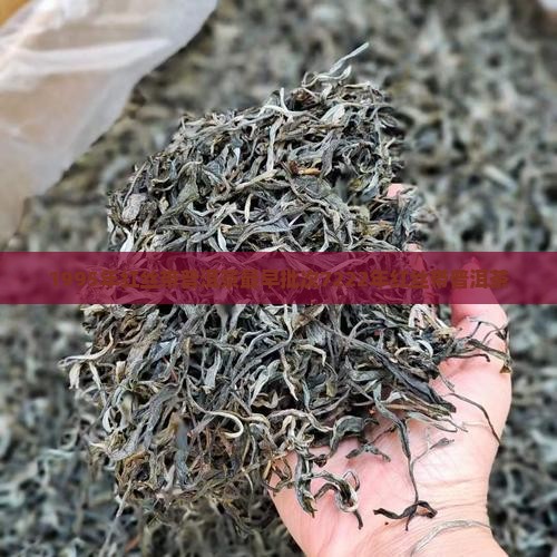 1995年红丝带普洱茶最早批次7222年红丝带普洱茶